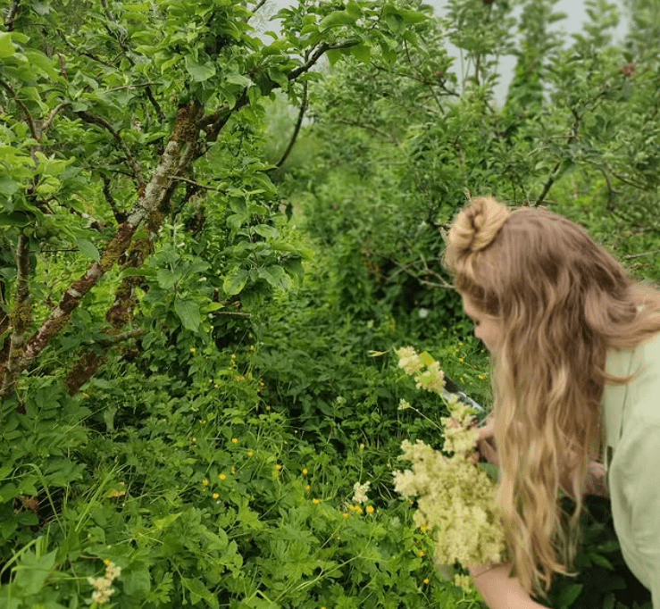 Cork on A Fork: An Afternoon of Nature, Nourishment & Community&nbsp;Awaits!