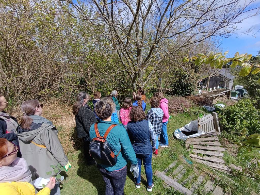 Cork Biodiversity Hub: Join Me This Summer for a Hands-On Workshop&nbsp;Series